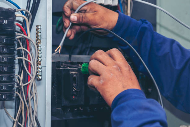Best Licensed Electrician  in Rogersville, TN